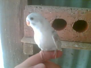Picture004.jpg
