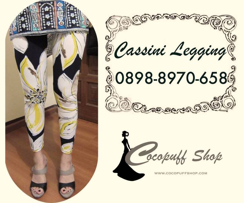 cassinilegging.jpg