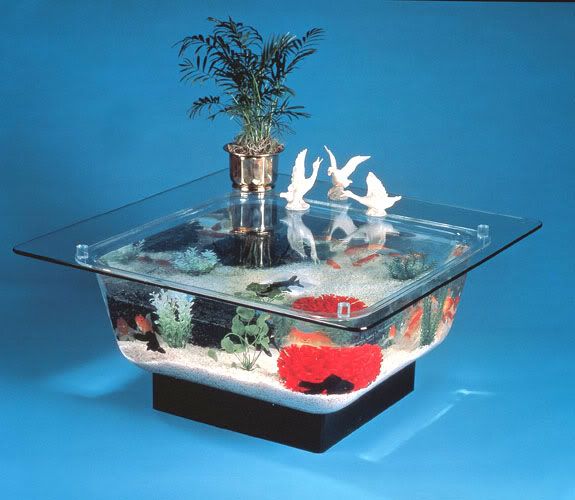 aquarium table weird
