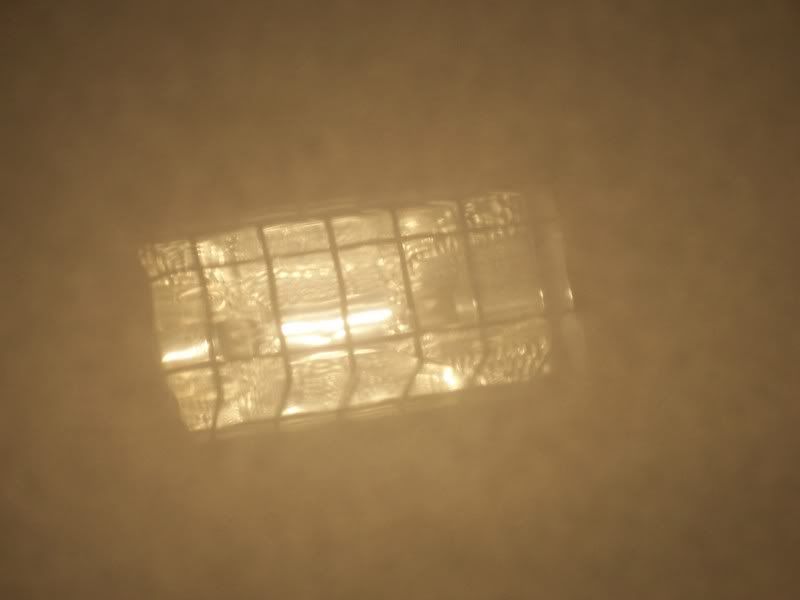 100_3369.jpg
