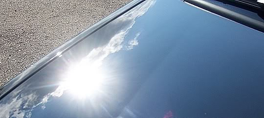 100_3519.jpg