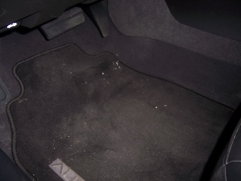 Carpetds11.jpg
