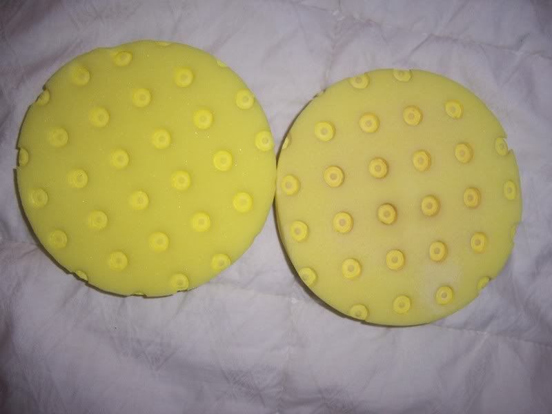 42Yellows.jpg