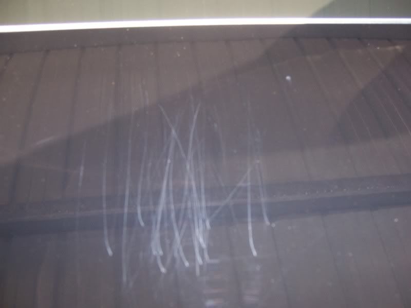 Scratches1-1.jpg