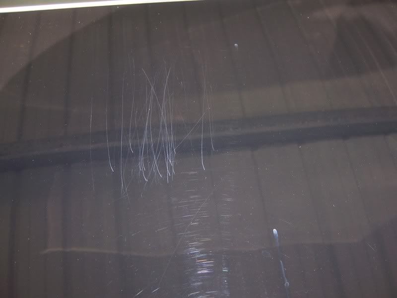 Scratches12.jpg