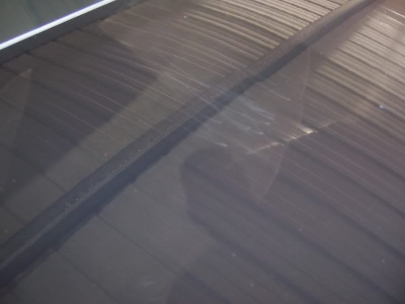 Scratches13.jpg