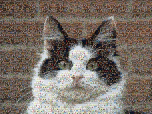 WhoMe-1.jpg