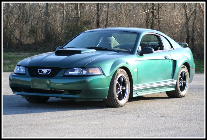 IMAGE: http://i27.photobucket.com/albums/c199/Dare232/Stang1.jpg