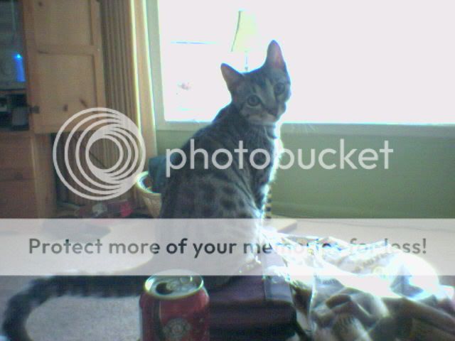 Photobucket - Video and Image Hosting