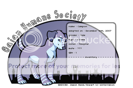 User Image