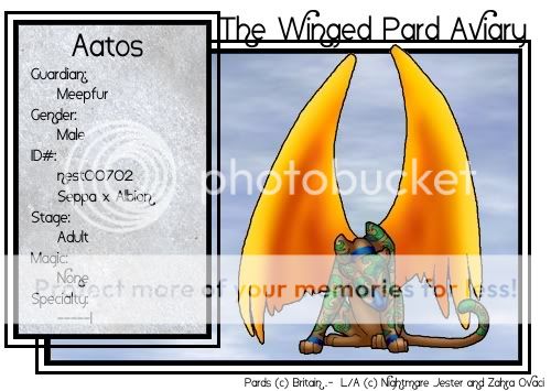 User Image