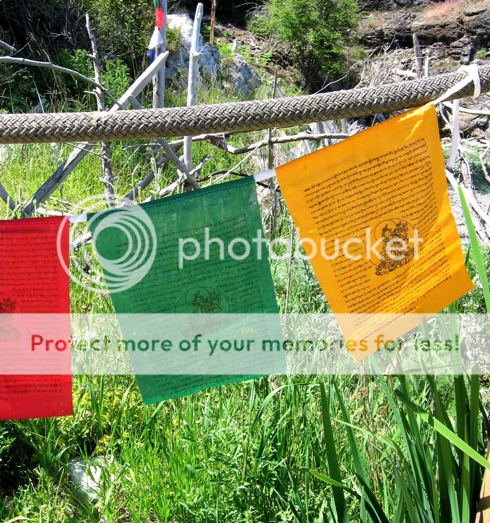 TIBETAN NUNS PROJ MED GREEN TARA BUDDHIST PRAYER FLAGS  