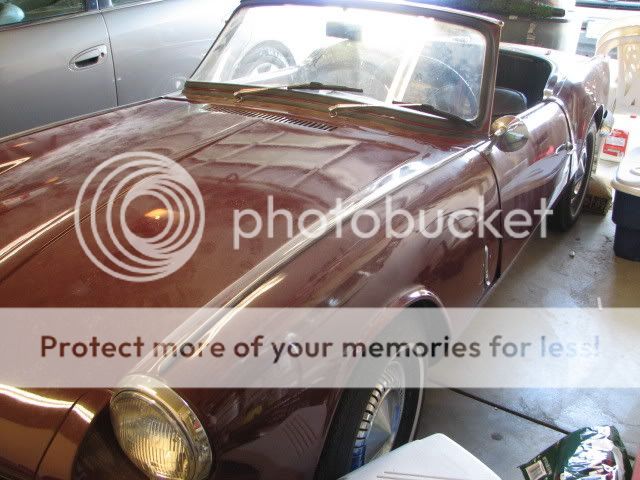 triumph016.jpg