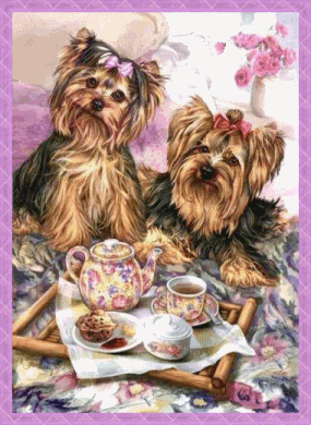 Yorkies animated Pictures, Images and Photos