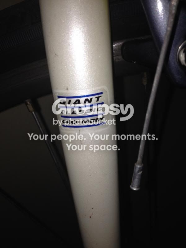 New Giant Allegre! - Bike Forums