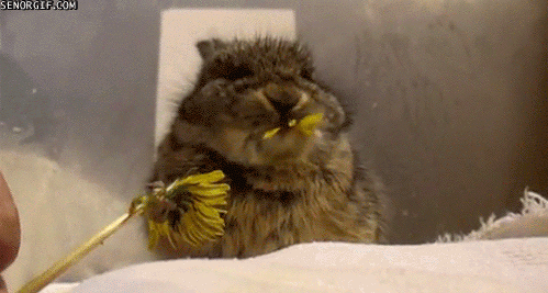 photo M6CT95jgS0AsIc4wezZ-PZdPhLMdTDXbUxoio-k13OmyuFjJAcEZzS9YEVc1P3GZP70Wg8kC7vHBagYIp8K-lqdKQkzAXm3Jwg_0kQ0IIwbAw499-h267-nc_zpsjirqjfkc.gif