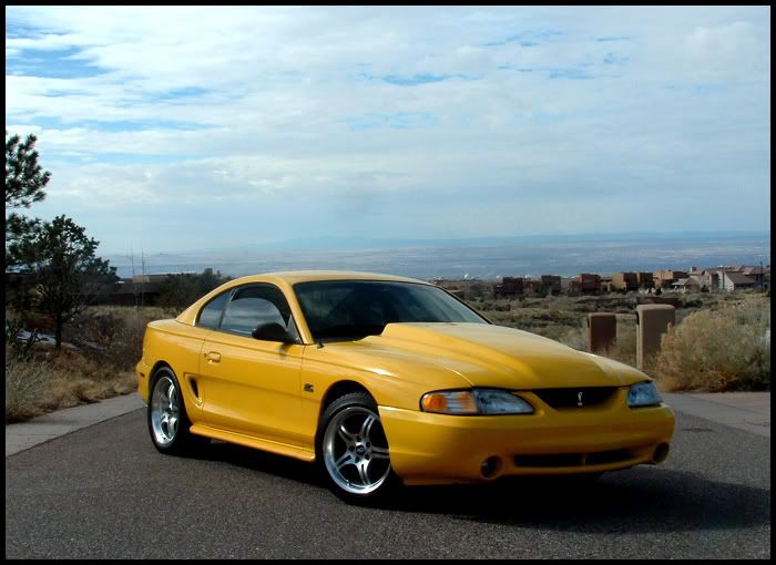 Yellow sn95's | SN95Forums The Only SN95 1994-2004 Dedicated Ford ...