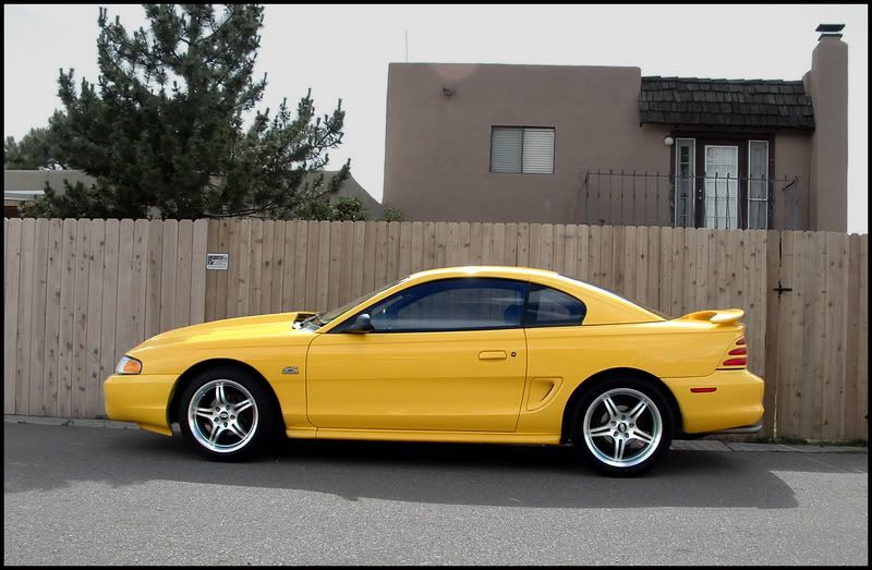 Yellow sn95's | SN95Forums The Only SN95 1994-2004 Dedicated Ford ...