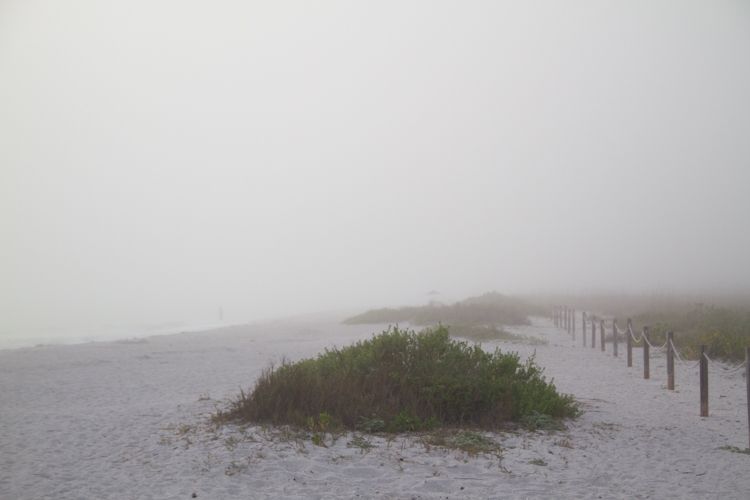 photo sSanibel-8761_zpsb26f8bd5.jpg